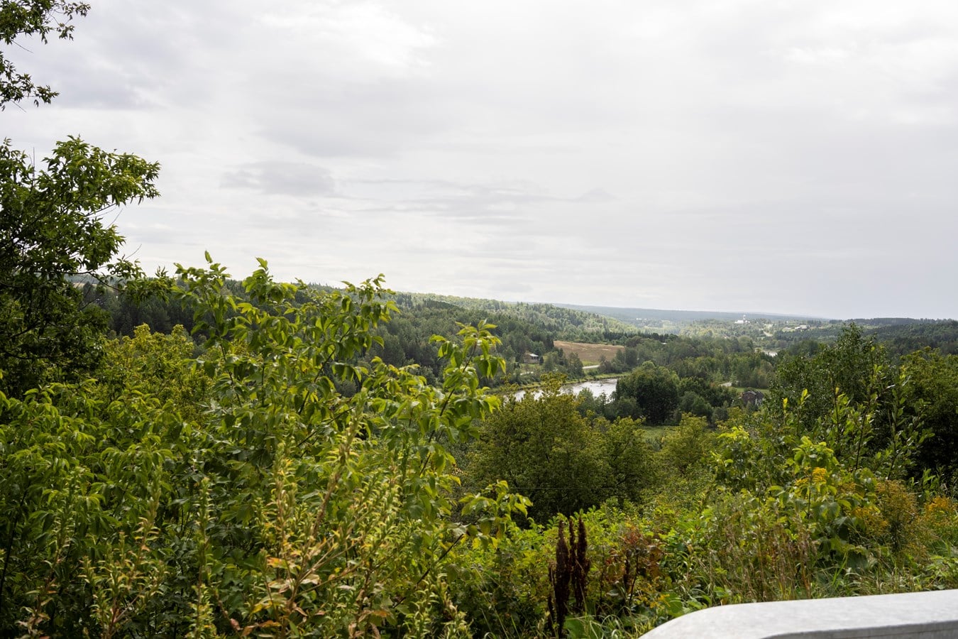 Concertation régionale de Chaudière-Appalaches : ID Territoires rejoint le comité