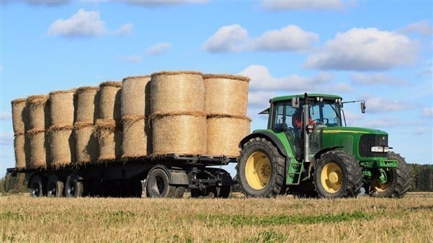 COVID-19: 7,5 M$ en fonds d'urgence pour les agriculteurs
