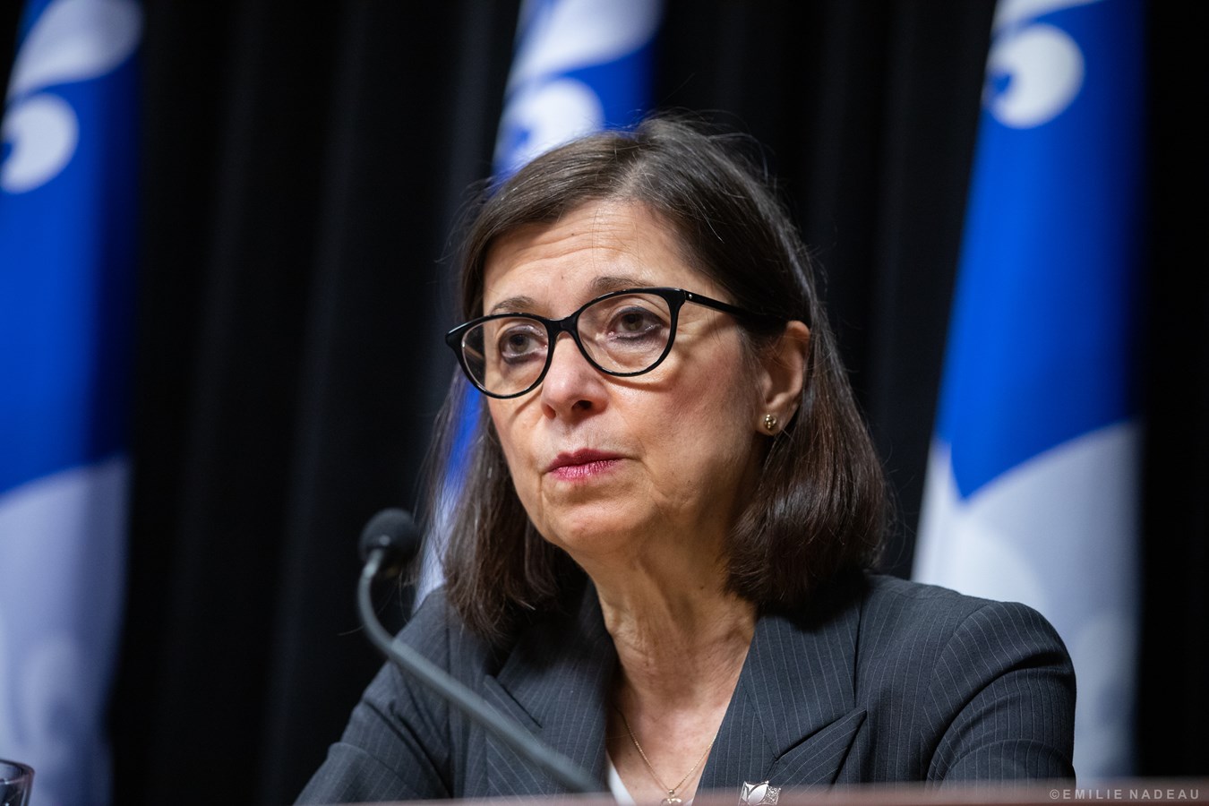 La ministre de la Santé et des Services sociaux, Danielle McCann.
