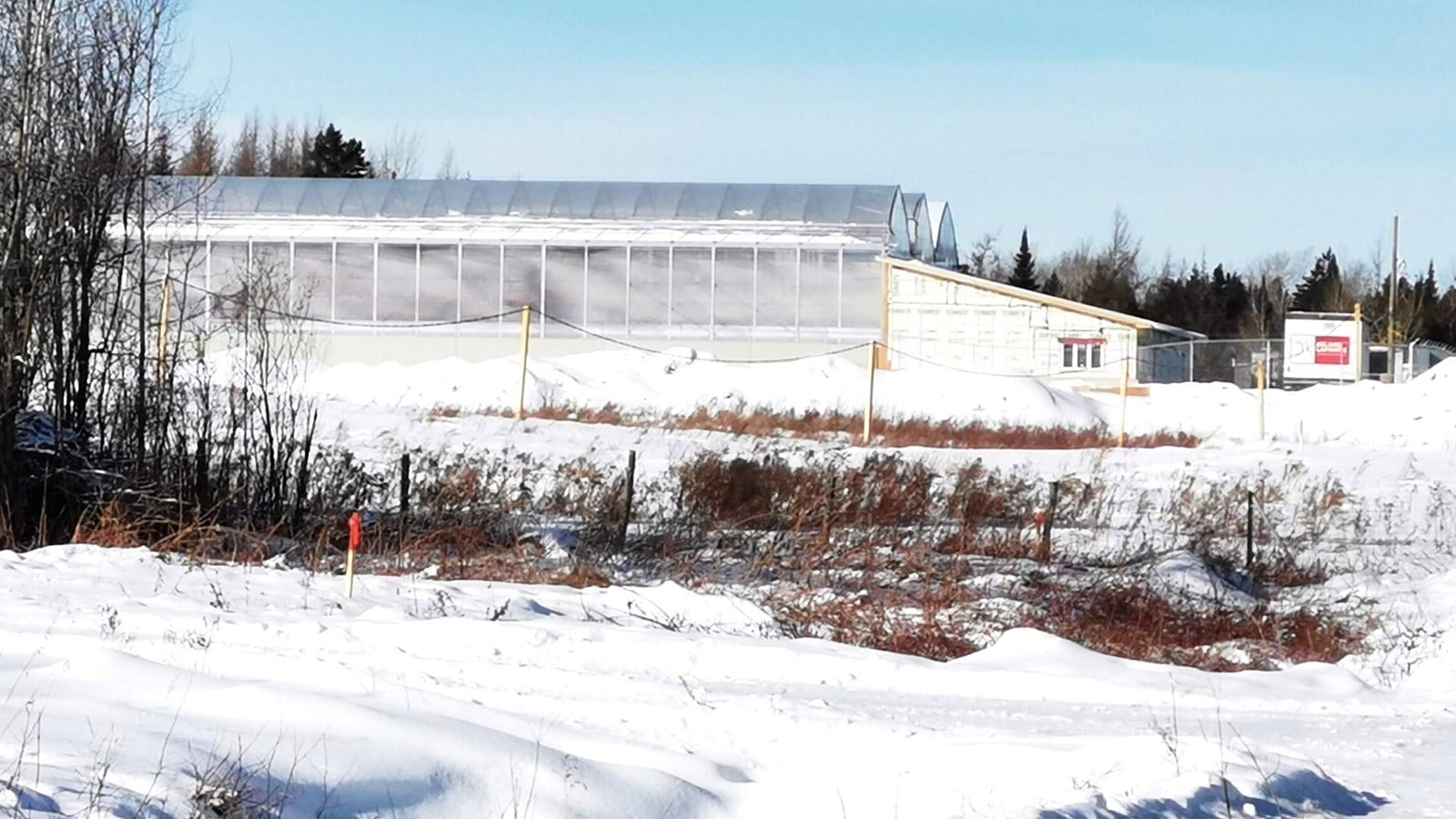 Wio Culture à Saint-Georges: la construction des serres va bon train