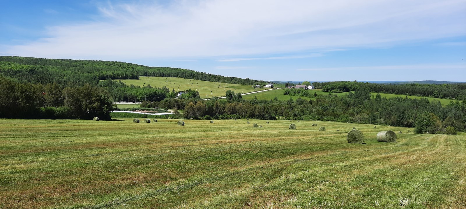 Galerie 1 : l'agriculture, c'est photogénique!