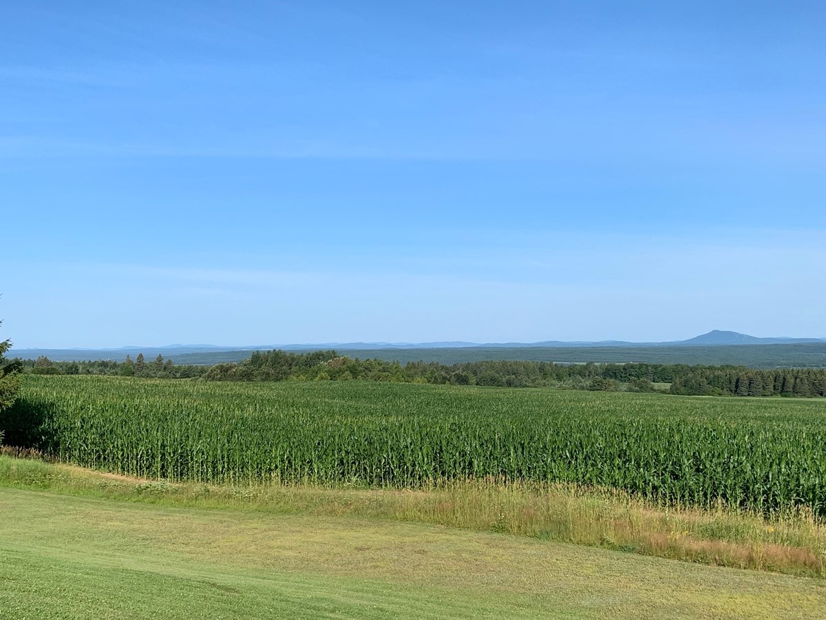 Galerie 2 : l'agriculture, c'est photogénique!