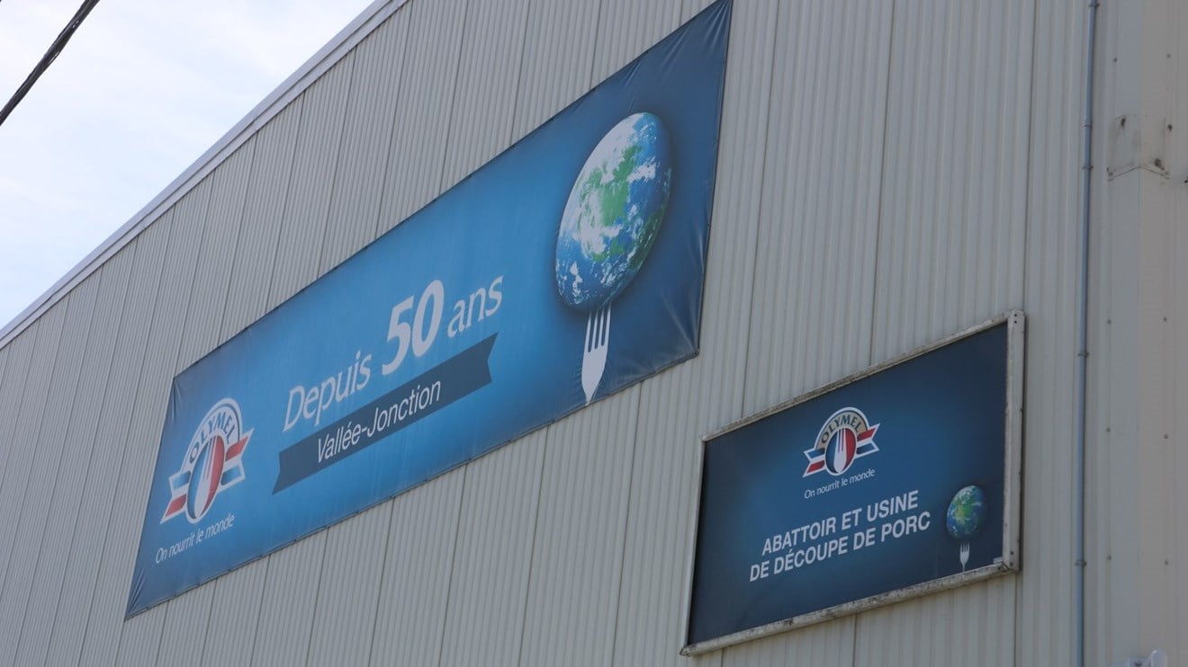 Les négociations reprennent aujourd'hui chez Olymel