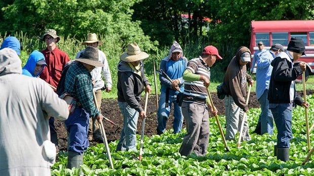Des résultats positifs liés aux actions d’immigration et d’intégration