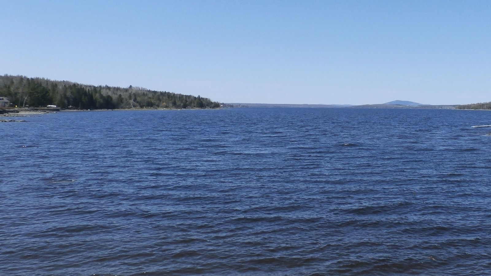 Treize associations de lacs s’unissent pour lutter contre les cyanobactéries  