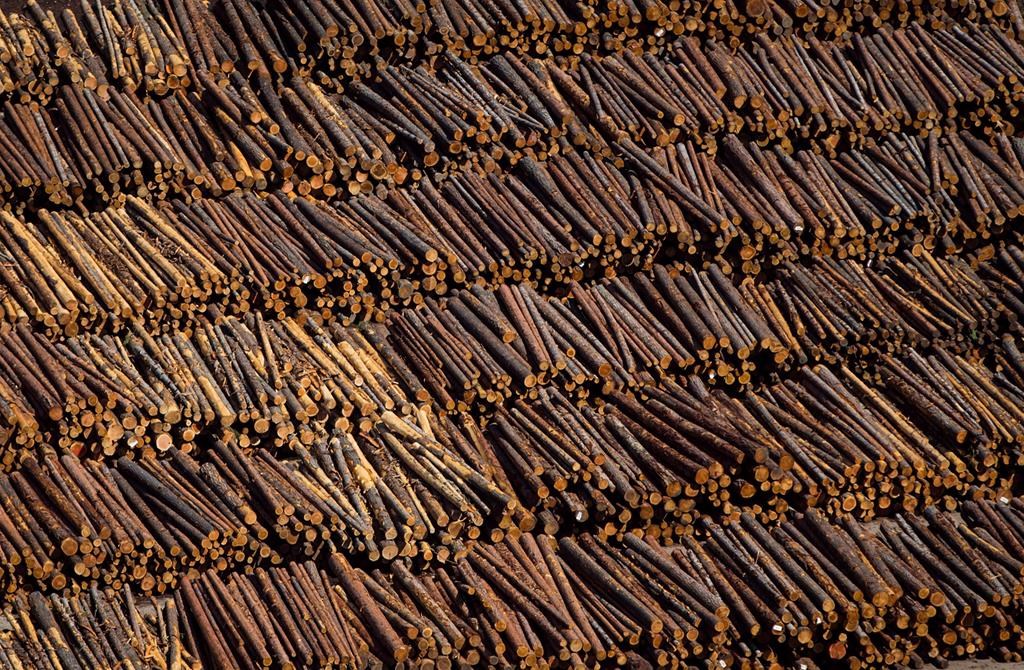 Ottawa conteste officiellement les tarifs douaniers américains sur le bois d'œuvre