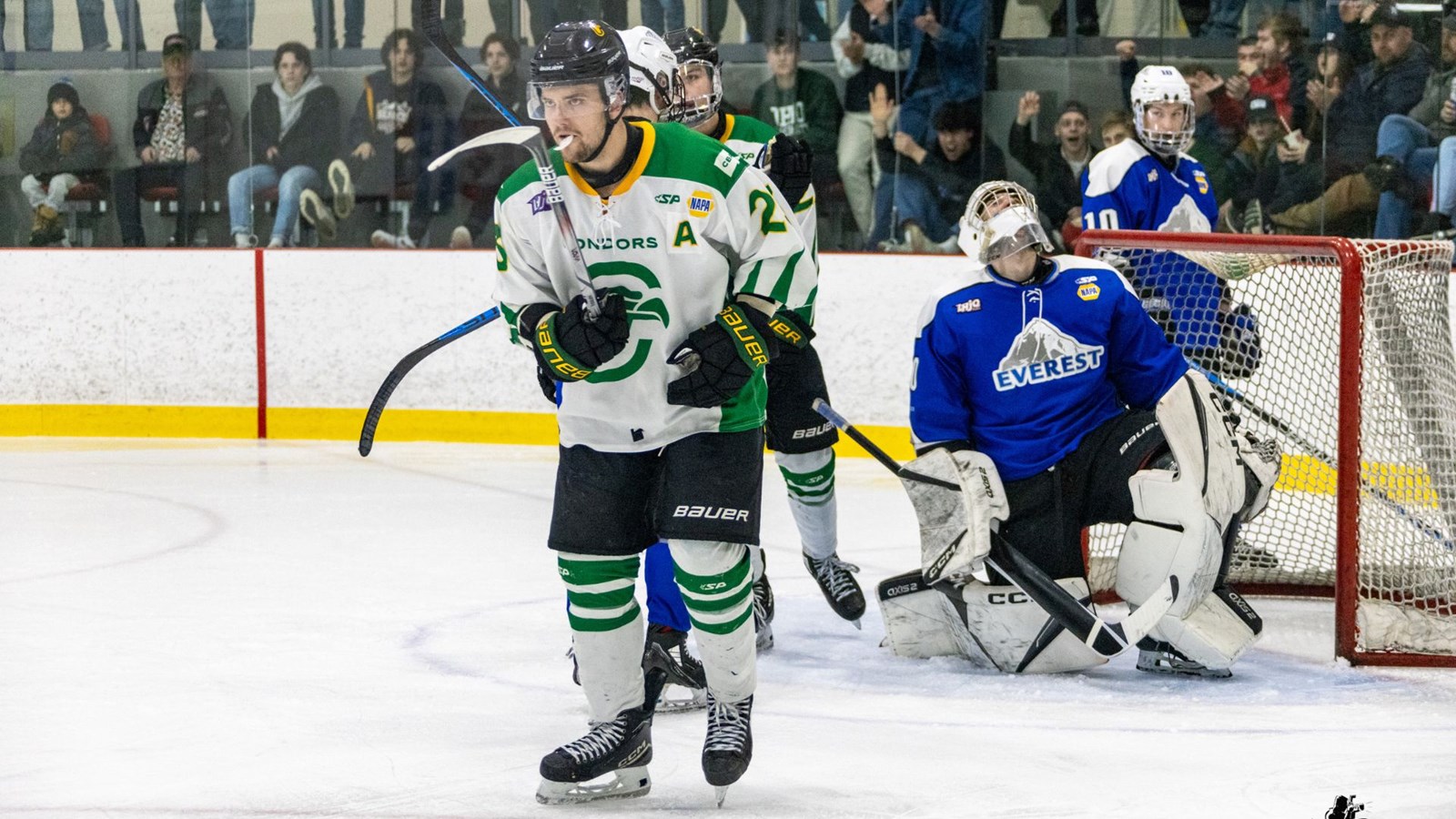 Les Condors tenteront de remonter la pente ce soir