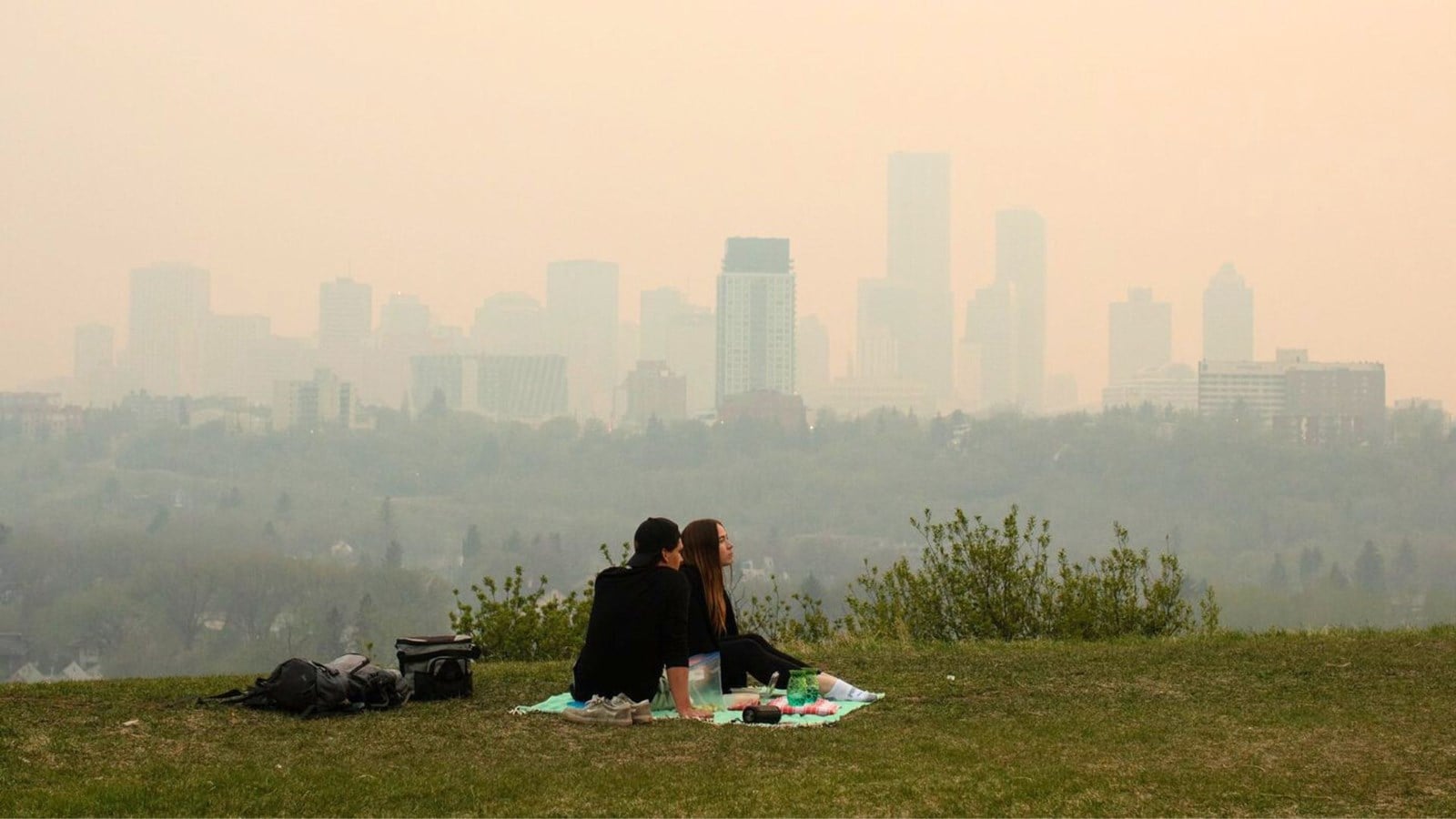 Une étude trace une association entre la pollution de l'air et la paralysie cérébrale