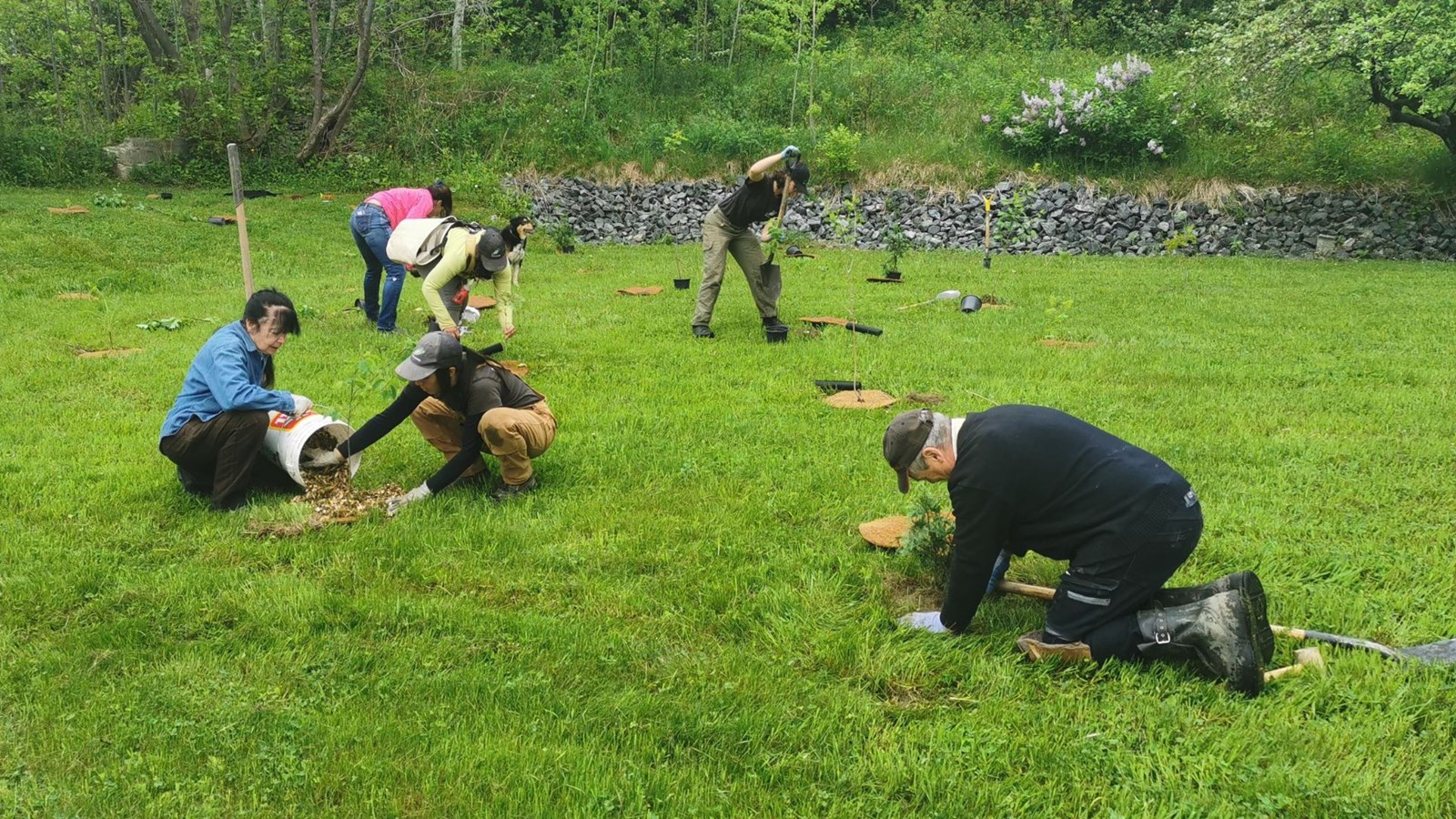 Quelques 130 bénévoles sont venus prêter main forte à cette plantation urbaine.