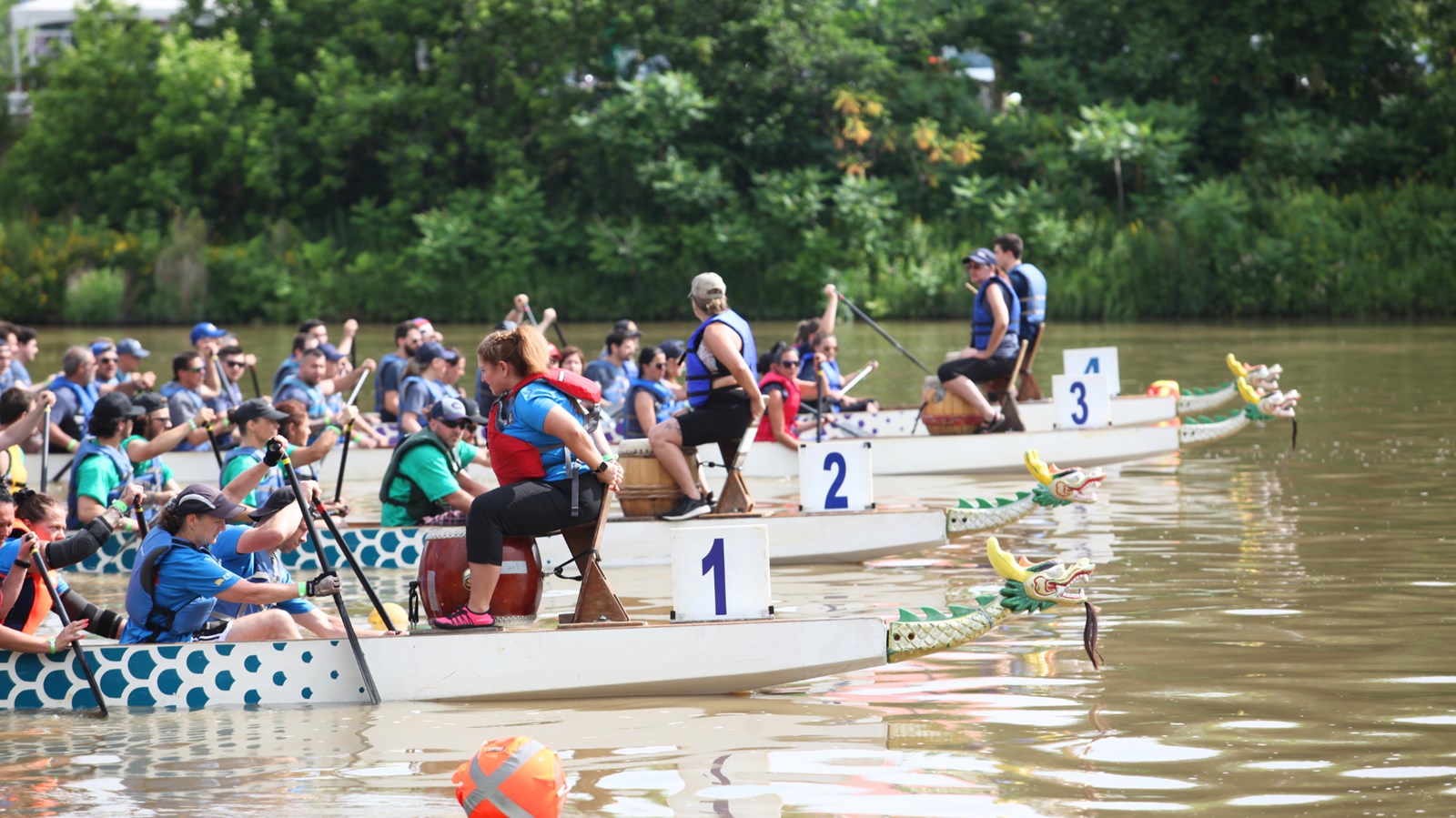 La course de bateaux-dragons, c'est demain
