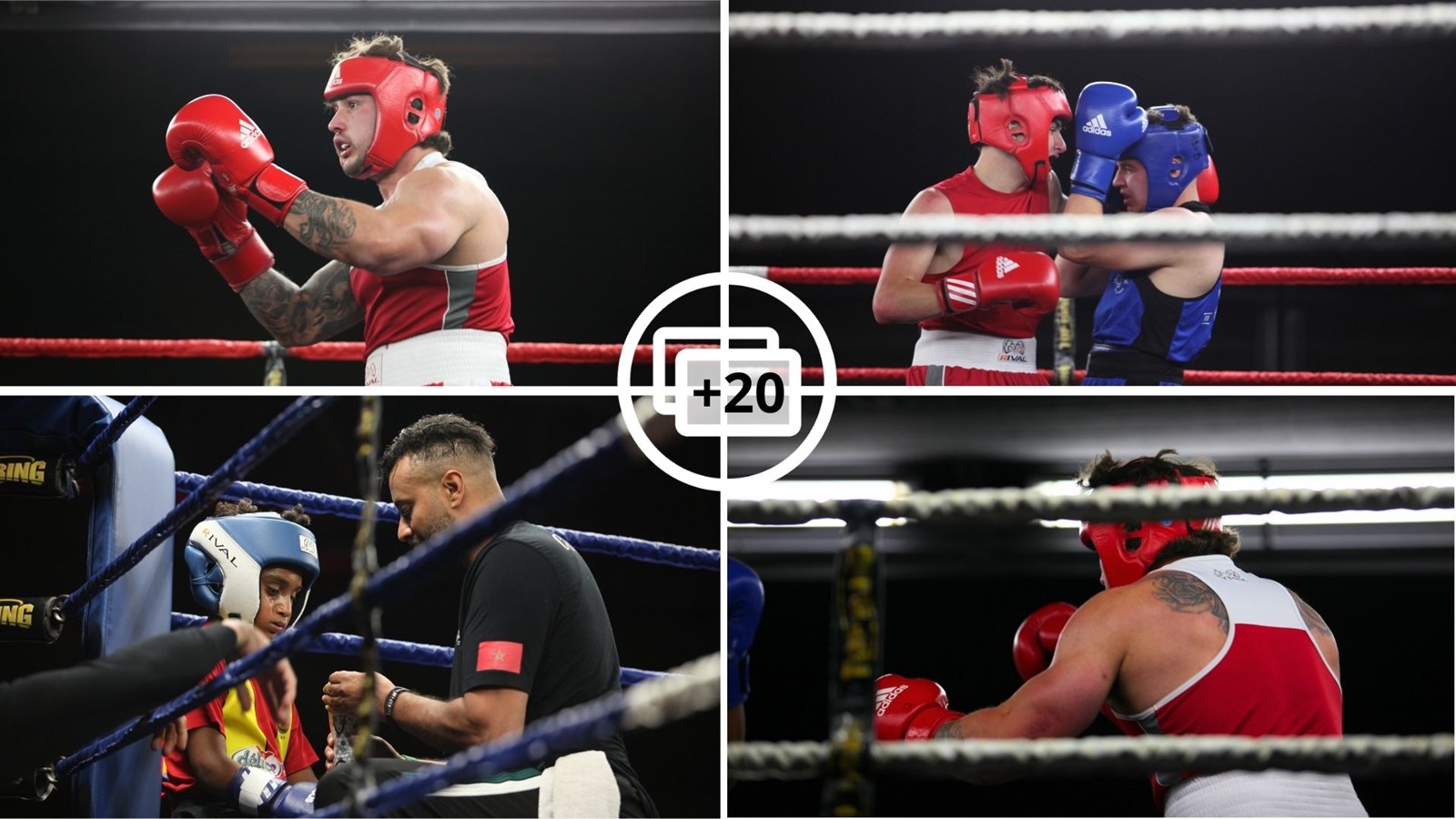 Les athlètes d’Hubert Poulin brillent au Gala de boxe de Saint-Zacharie