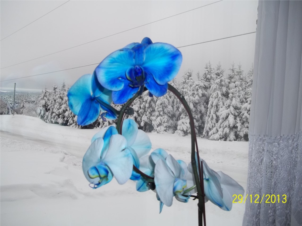 doux hiver