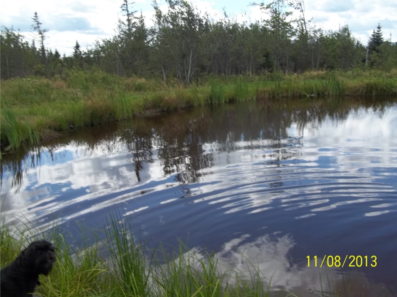 la nature 2013 