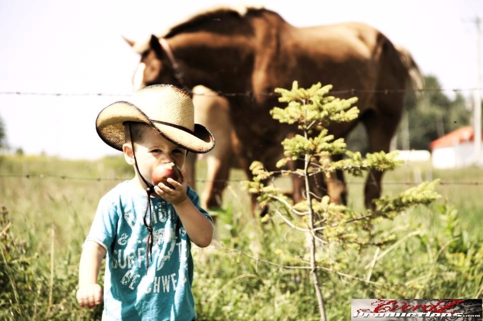 Le Cowboy