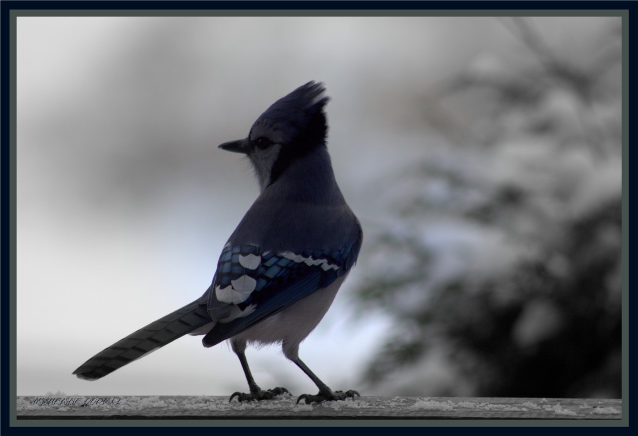 vigilance
