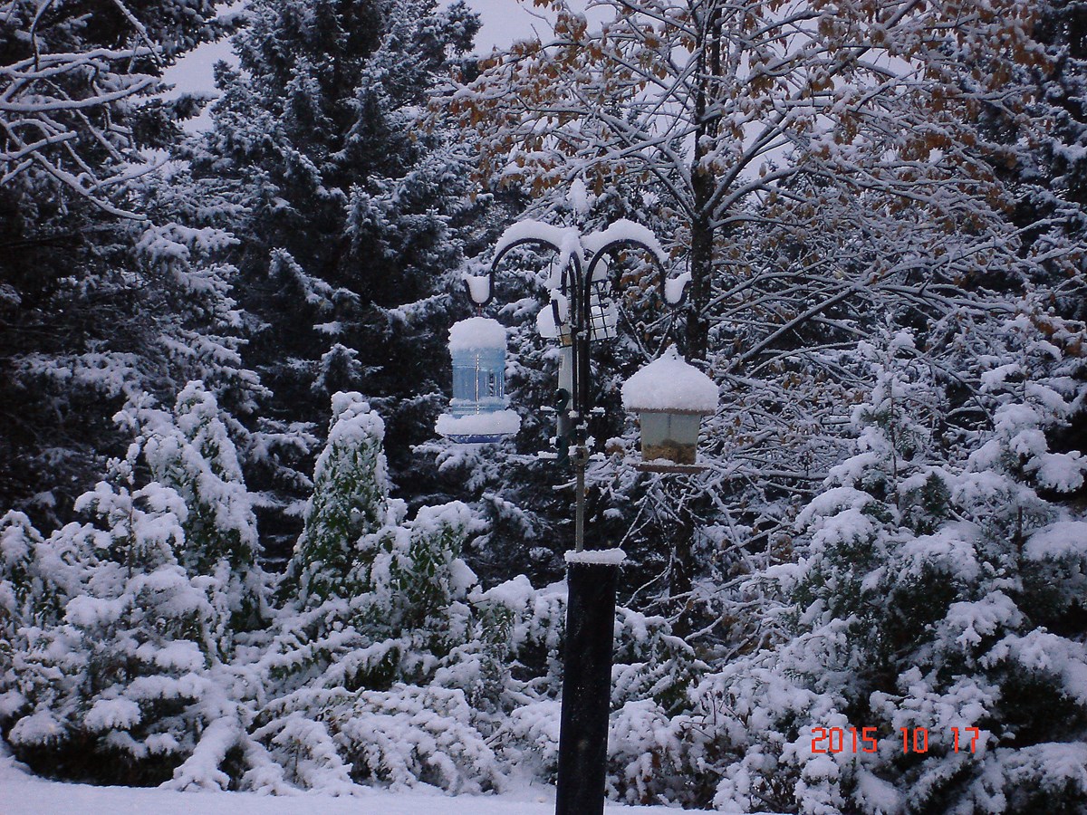 Première Neige !!!