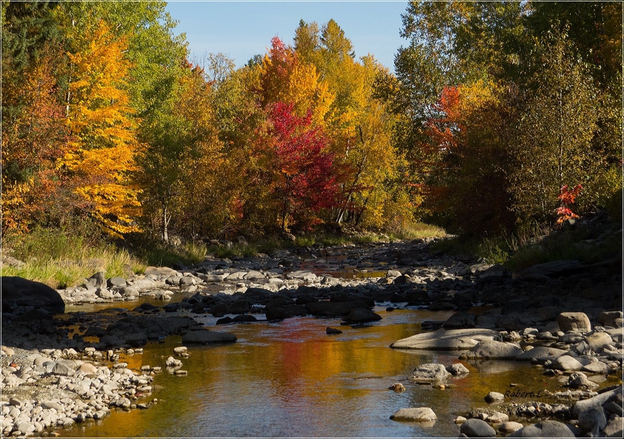 Parc 7 chutes