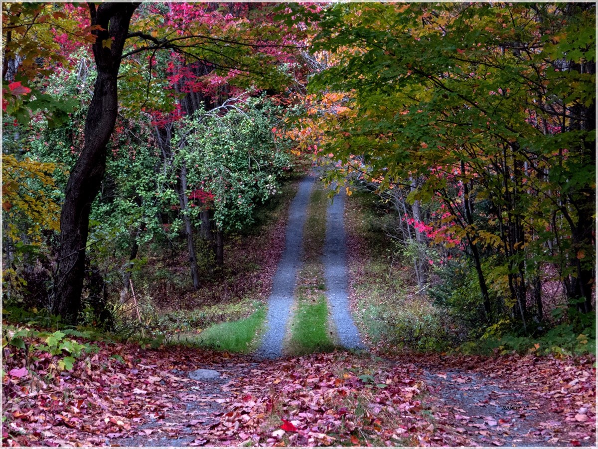 Sentier St-Benoit