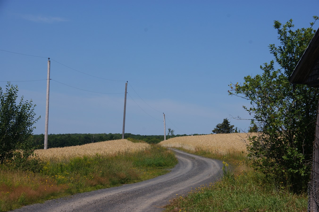 Eté beauceron.