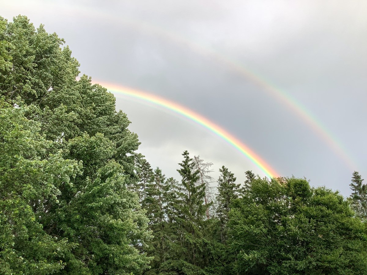 arc-en-ciel