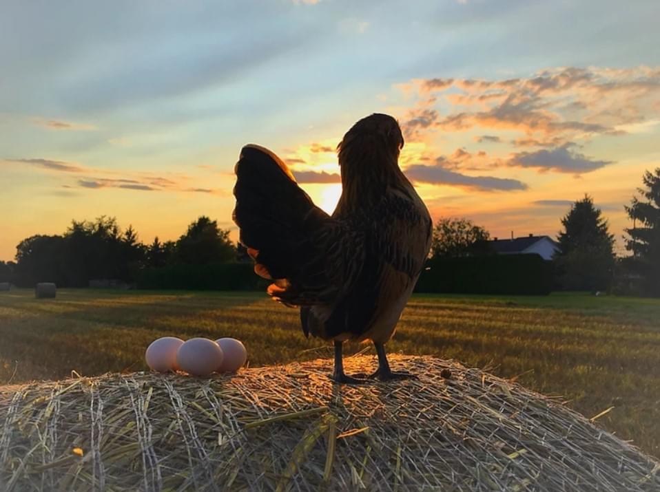 Coucher de soleil