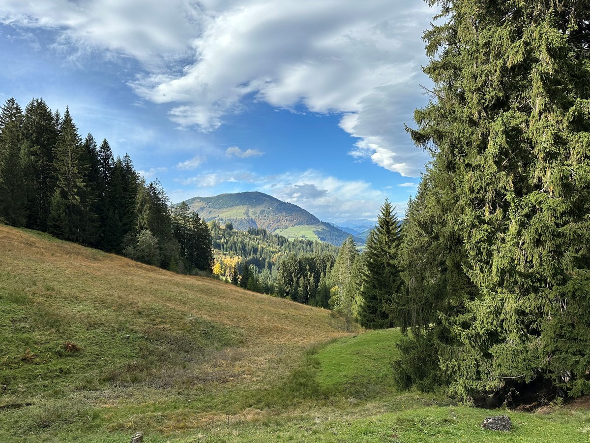 Automne en Autriche